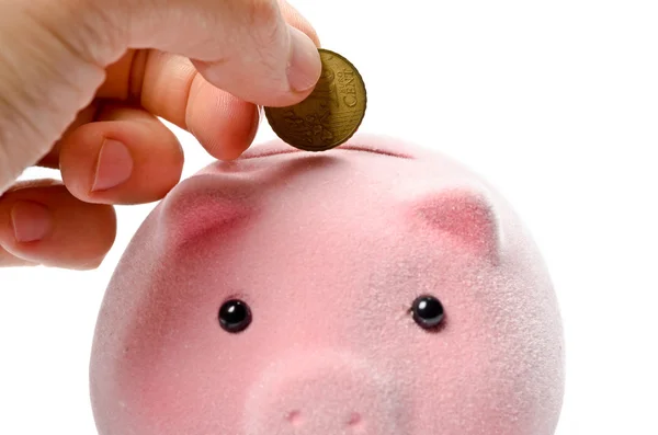 Coin and piggy bank — Stock Photo, Image