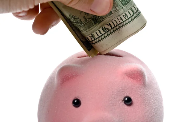 Piggy bank and dollars — Stock Photo, Image