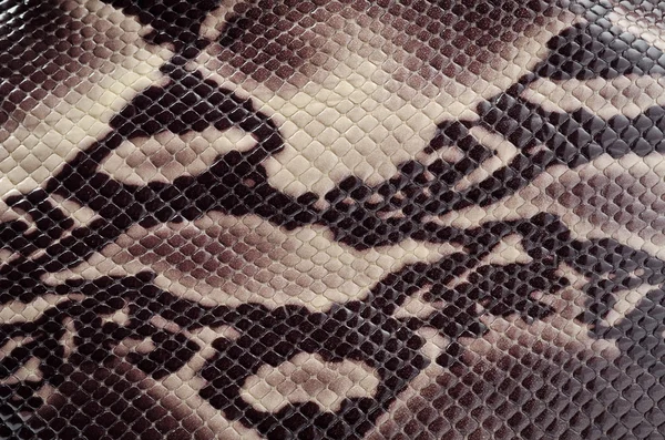 Schlangenhaut — Stockfoto
