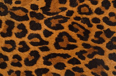 Leopard print pattern clipart