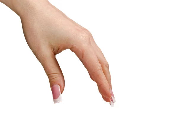 Weibliche Hand — Stockfoto