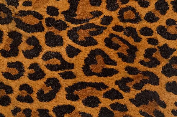 Patrón de impresión de leopardo Imágenes De Stock Sin Royalties Gratis