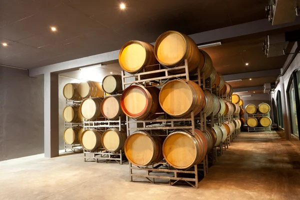 Modern wine cellar — Stock Photo, Image