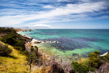 Boulders beach, south africa clipart