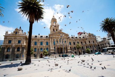 Pigeons flying over city hall of cape town clipart