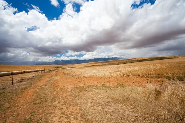 Otwarte pole w western cape, RPA — Zdjęcie stockowe