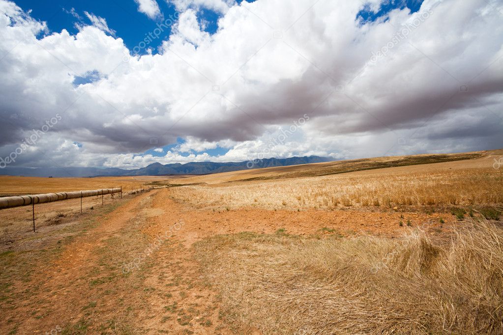 Open field in Western Cape, South Africa
