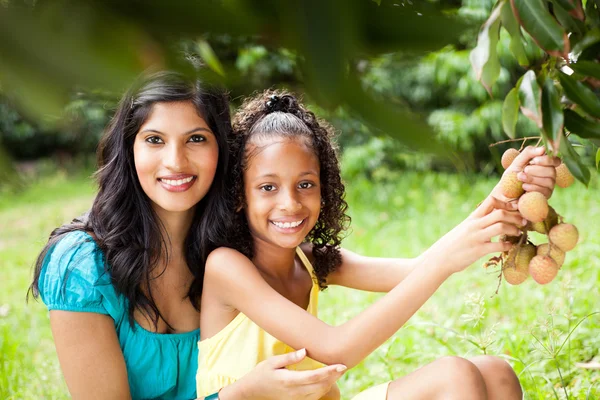 Mother and daughter picking litchis — Stock Photo, Image