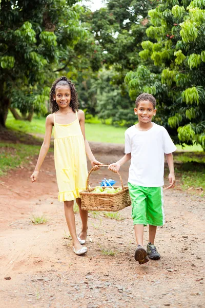 Kids carrying basket of apple — Stock Photo, Image
