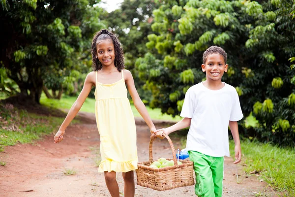 Doi copii care transportă un coș de mere — Fotografie, imagine de stoc