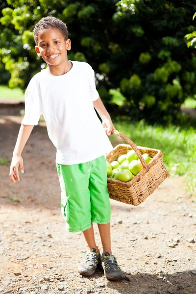 Pojke redovisade korg med äpplen — Stockfoto
