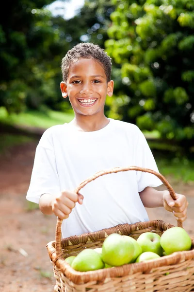 Happy boy carrying basket of apples — Stock Photo, Image