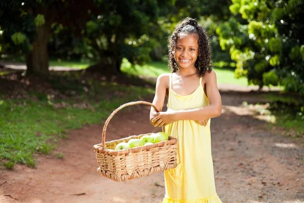 Chica con cesta de manzana —  Fotos de Stock