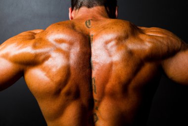 Bodybuilder's back clipart