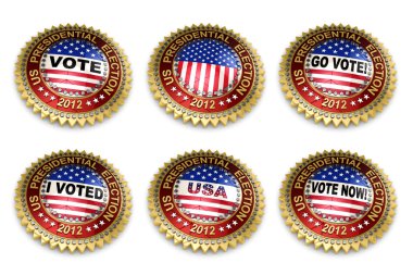 2012 başkanlık seçimleri düğmeleri