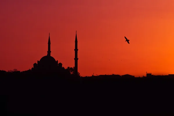 Pôr do sol mesquita — Fotografia de Stock
