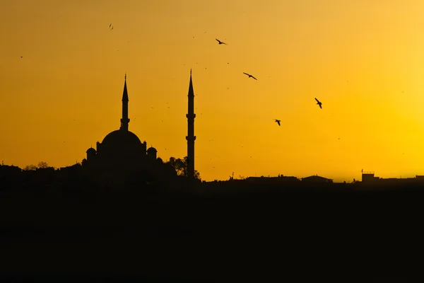 Sonnenuntergang in der Moschee — Stockfoto