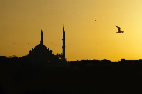 Sonnenuntergang in der Moschee — Stockfoto