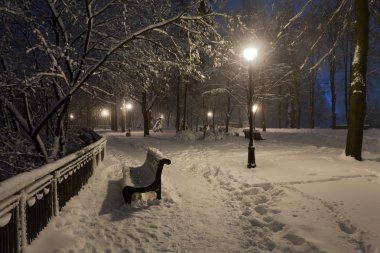 Geceleri karla kaplı park.