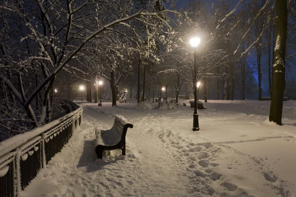 Parku pokryta śniegiem w nocy. — Zdjęcie stockowe
