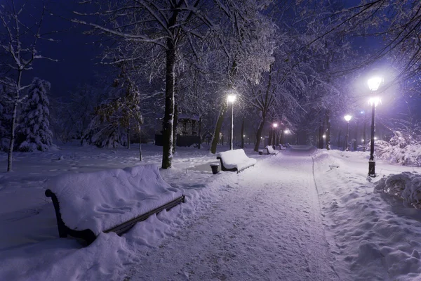 Parco coperto di neve di notte . — Foto Stock