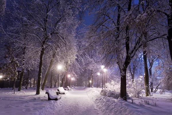 Park covered with snow at night. — Stock Photo, Image
