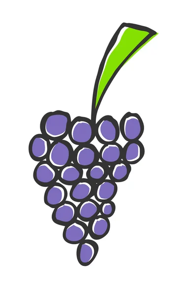 stock vector Grapes illustration