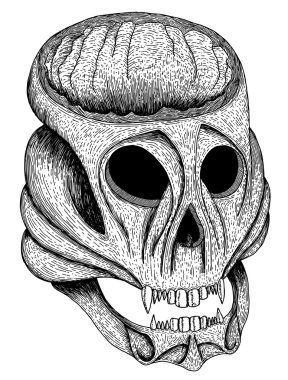 Skull hand drawn clipart