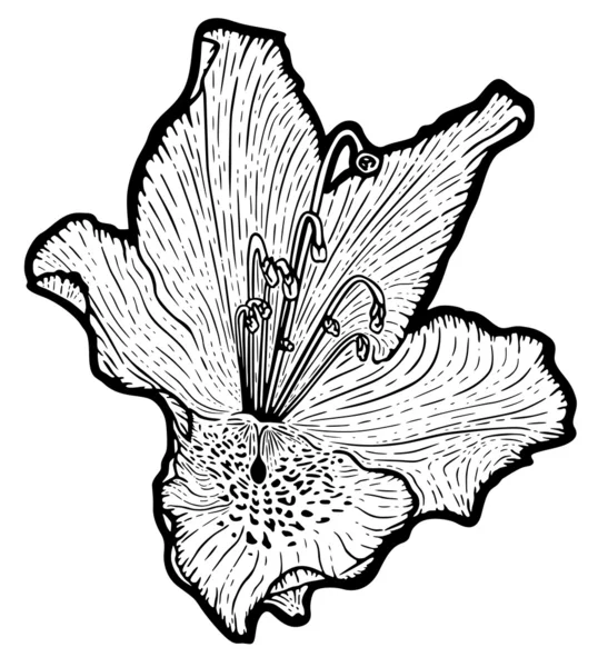 Virág — Stock Vector