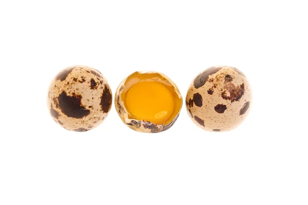Quail Eggs Whole And Yolk — Stock Photo, Image