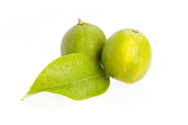 Limes With Leaf — Stock Photo, Image