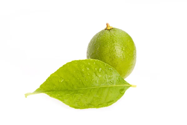 Lime With Leaf — Stock Photo, Image