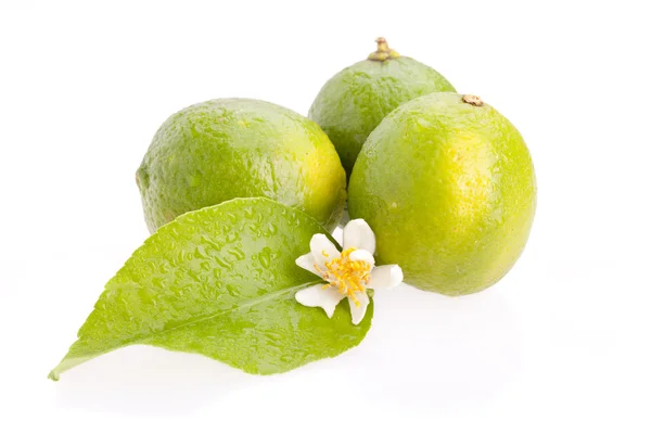 Limes Closeup — Stock Photo, Image