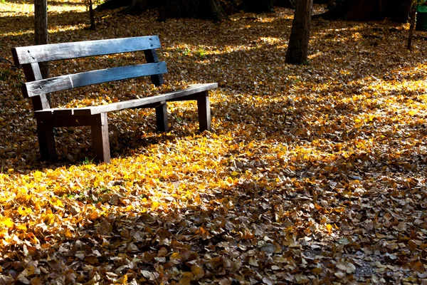 Bänk och hösten blad — Stockfoto