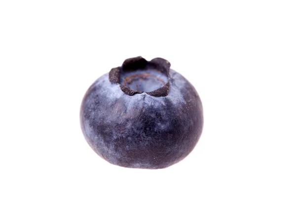 Blueberry Isolated — Stock Photo, Image