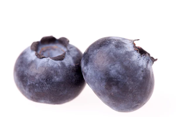 Two Blueberries Isolated — Stockfoto
