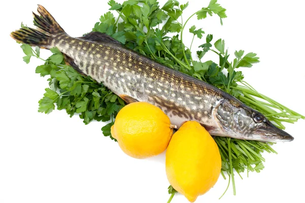 Pike With Lemons On Parsley Bed — Stock Photo, Image