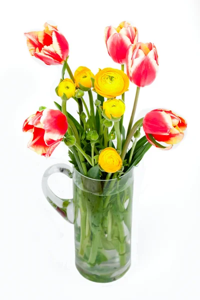 Tulipani e Peonie — Foto Stock