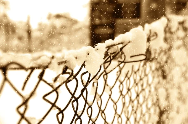 stock image Snow on a wire mesh fence