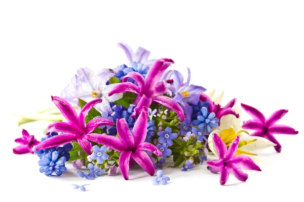 Spring bouquet — Stock Photo, Image