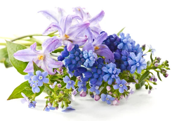Bouquet di primavera — Foto Stock