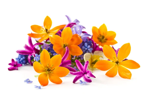 春季花束 — 图库照片