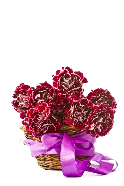 Beautiful bouquet of carnations — Stock Photo, Image