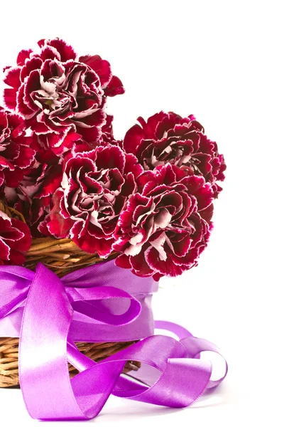 Bellissimo bouquet di garofani — Foto Stock