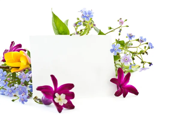 Bouquet of spring flowers — Stock Photo, Image