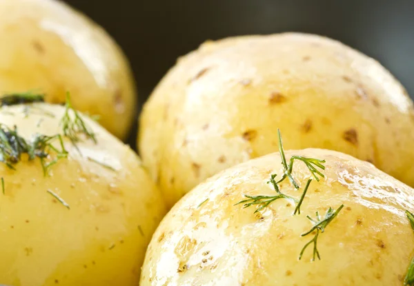 Batatas fervidas jovens — Fotografia de Stock