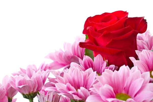 Gyönyörű vörös rózsa és a krizantém — Stock Fotó