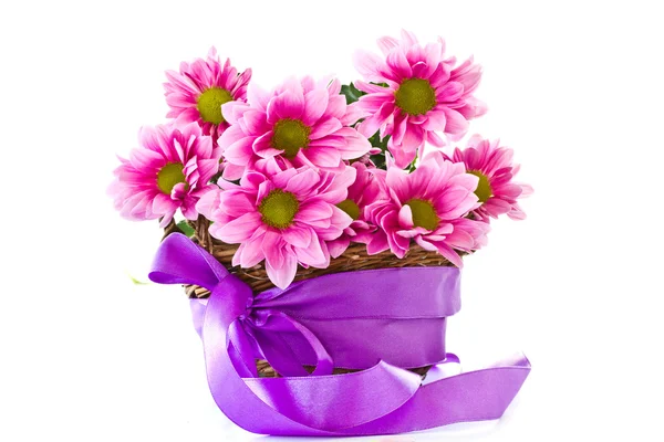 Chrysanthemums in the basket — Stock Photo, Image