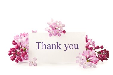 Lilac flowers clipart