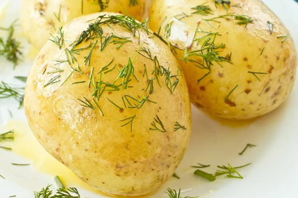 Unga kokt potatis — Stockfoto